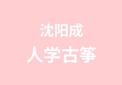 沈阳成人学古筝