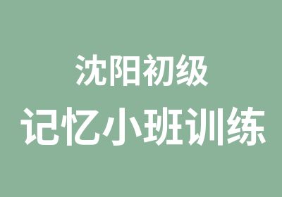 沈阳初级记忆小班训练