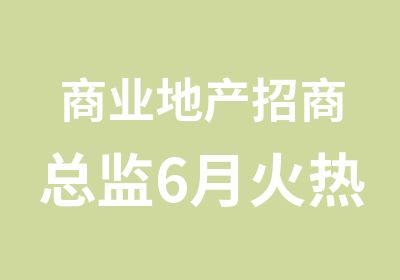 商业地产招商总监6月火热开班