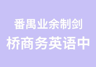 番禺业余制剑桥商务英语中级学习班