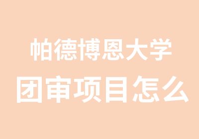 帕德博恩大学团审项目怎么样如何操作呢