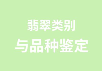 翡翠类别与品种鉴定