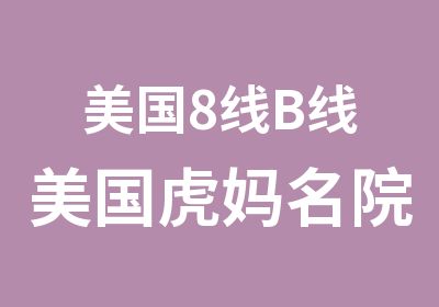 美国8线B线美国虎妈名院亲子夏令营