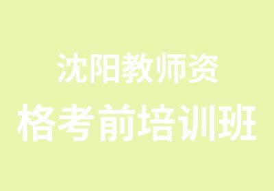 沈阳教师资格考前培训班