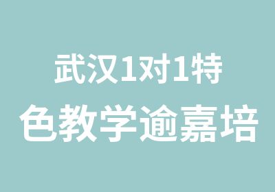 武汉1对1特色教学逾嘉培训学校