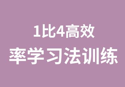 1比4率学习法训练