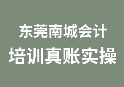 东莞南城会计培训真账实操