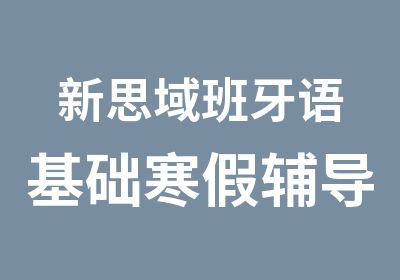 新思域班牙语基础寒假辅导寒假语培训