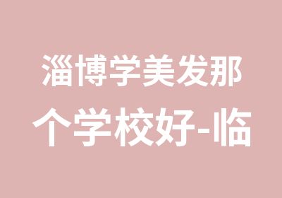 淄博学美发那个学校好-临沂专业学习理发学校