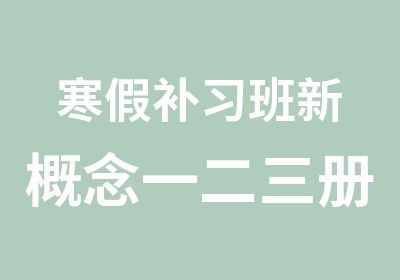 寒假补习班新概念一二三册基础班全能班综合