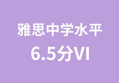 雅思中学水平6.5分VIP直达班