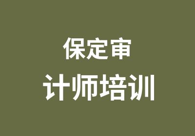 保定审计师培训