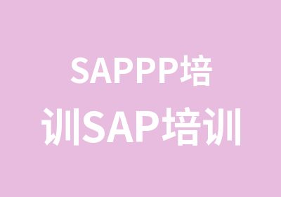 SAPPP培训SAP培训