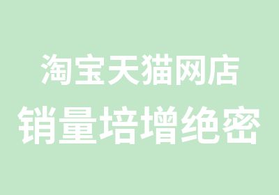 天猫网店销量培增绝密解析实战技能班