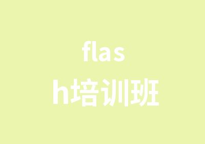 flash培训班