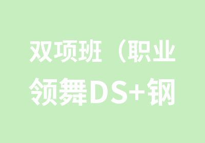 双项班（职业领舞DS+钢管舞）