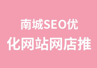 南城SEO优化网站网店推广实战培训