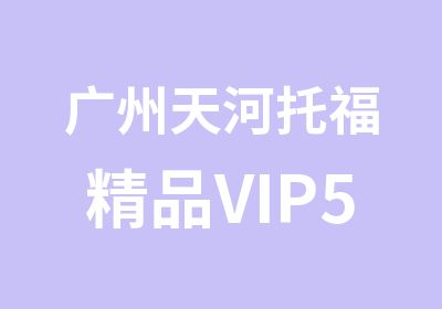 广州天河托福精品VIP5人学习辅导班