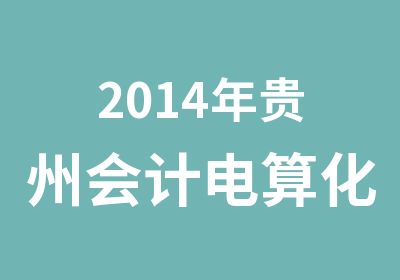2014年贵州会计电算化