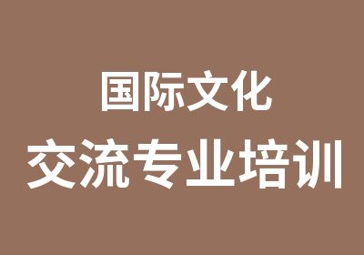 国际文化交流专业培训