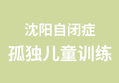 沈阳自闭症孤独儿童训练