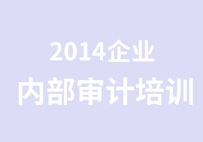 2014企业内部审计培训