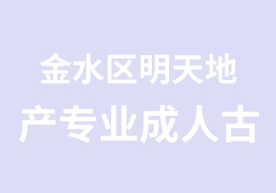 金水区明天地产专业成人古筝培训速成