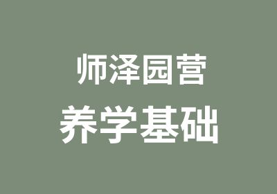 师泽园营养学基础