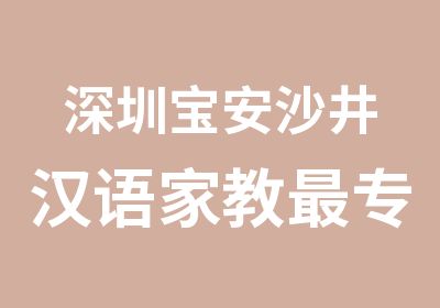 深圳宝安沙井汉语家教专业的汉语培训学校