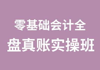 零基础会计全盘真账实操班