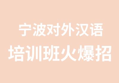 宁波对外汉语培训班火爆招生中