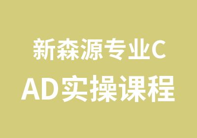 新森源专业CAD实操课程培训