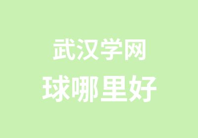 武汉学网球哪里好