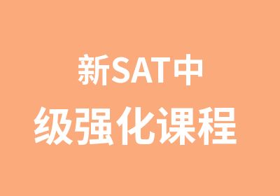 新SAT中级强化课程 