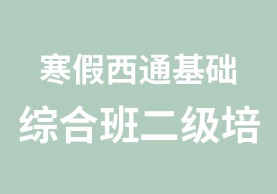 寒假西通基础综合班二级培训辅导