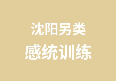 沈阳另类感统训练