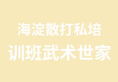 海淀散打私培训班武术世家培训中心