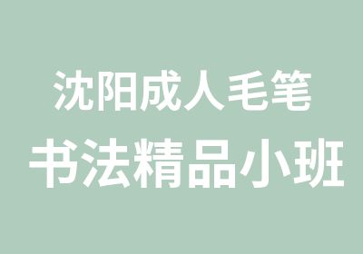 沈阳成人毛笔书法精品小班培训