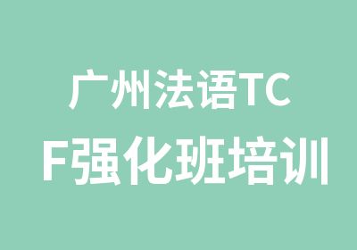 广州法语TCF强化班培训课程