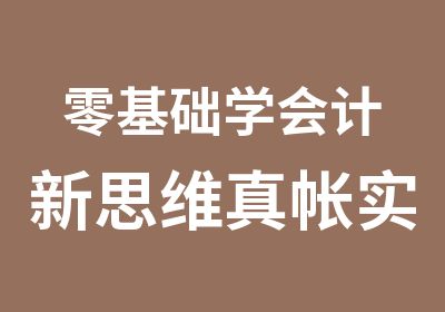 零基础学会计新思维真帐实操培训