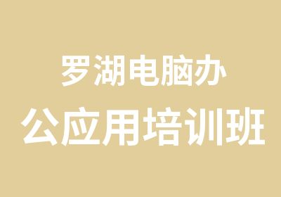 罗湖电脑办公应用培训班