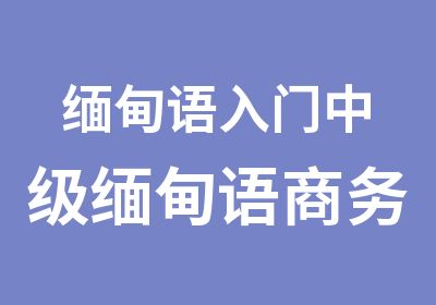 缅甸语入门中级缅甸语商务缅甸语