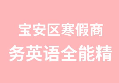 宝安区寒假商务英语全能精品培训班