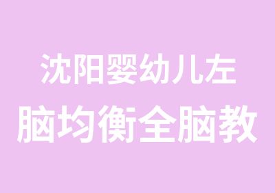 沈阳婴幼儿左脑均衡全脑教育早期教育