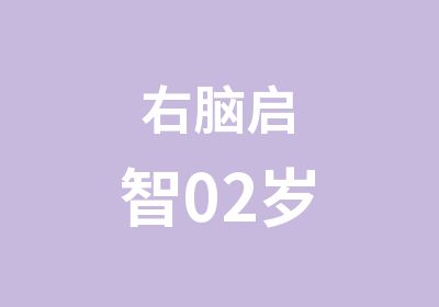 右脑启智02岁