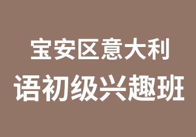 宝安区意大利语初级兴趣班辅导