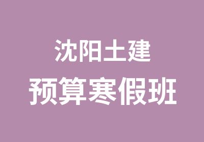 沈阳土建预算寒假班