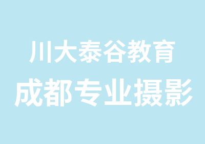 川大泰谷教育成都专业摄影研修班培训