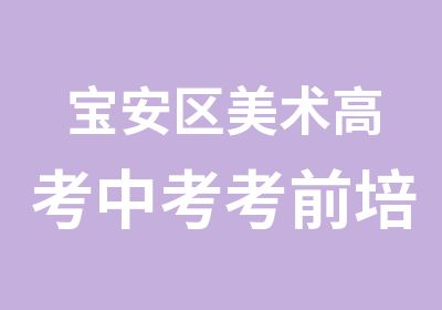 宝安区美术高考中考考前培训冲刺班