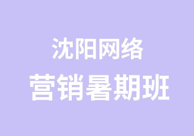 沈阳网络营销暑期班